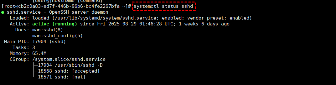 Linux 查看 SSH 服务是否开启