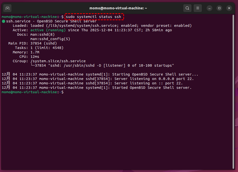 检查 SSH 服务状态